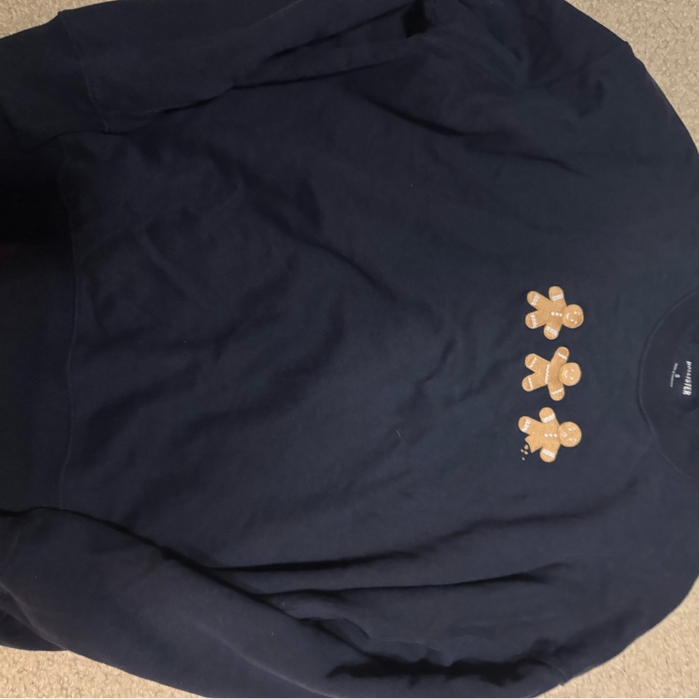 Hollister Navy Sweater with Gingerbread Accents